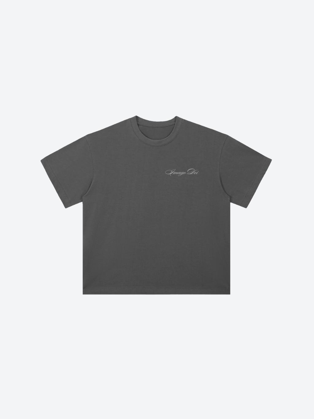 Image Of God Tee - Gray